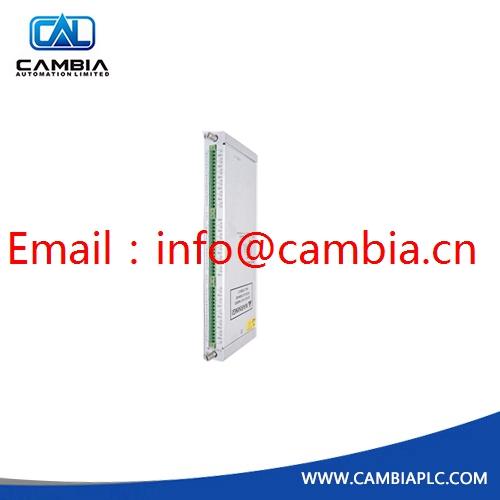 GE Bently Nevada	3300/16-15-01-03-00-00-00	Email:info@cambia.cn